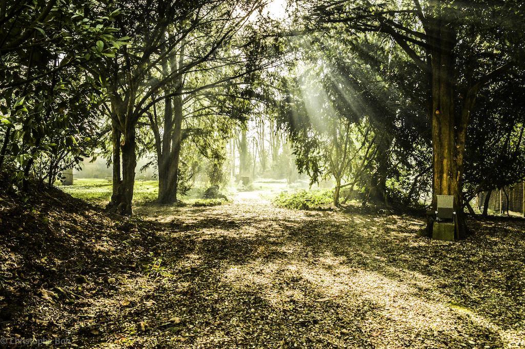 Отель Les Jardins D'Epicure Бре-е-Лю Экстерьер фото